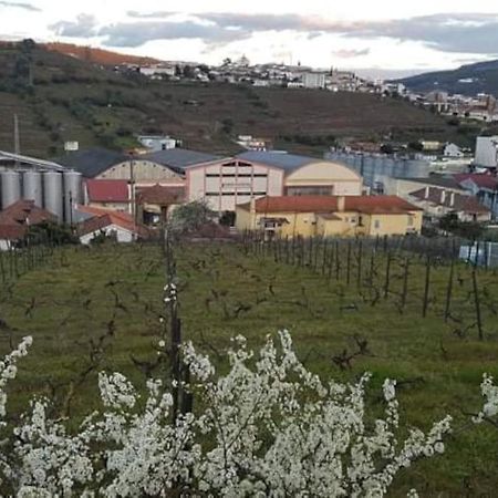 Casa Moscatel - Douro Valley Peso da Régua Exterior photo