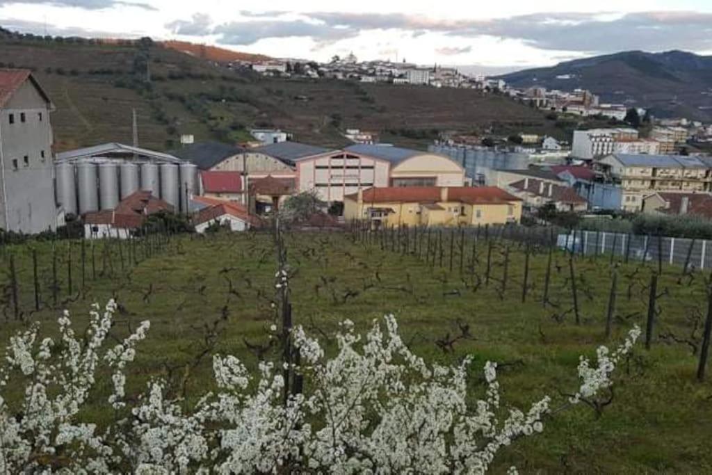Casa Moscatel - Douro Valley Peso da Régua Exterior photo